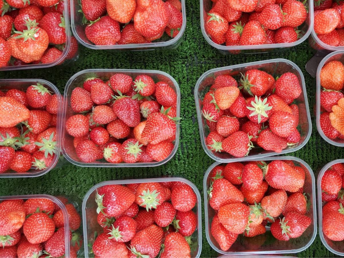 Berries What to Eat When Sick Unsplash