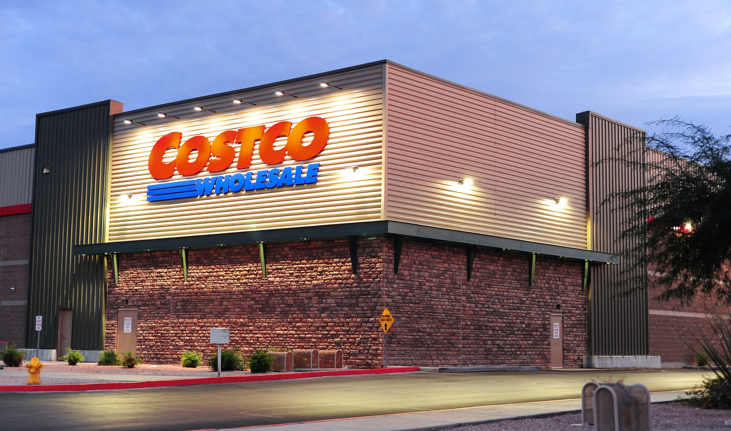 11 Rare Costco Finds