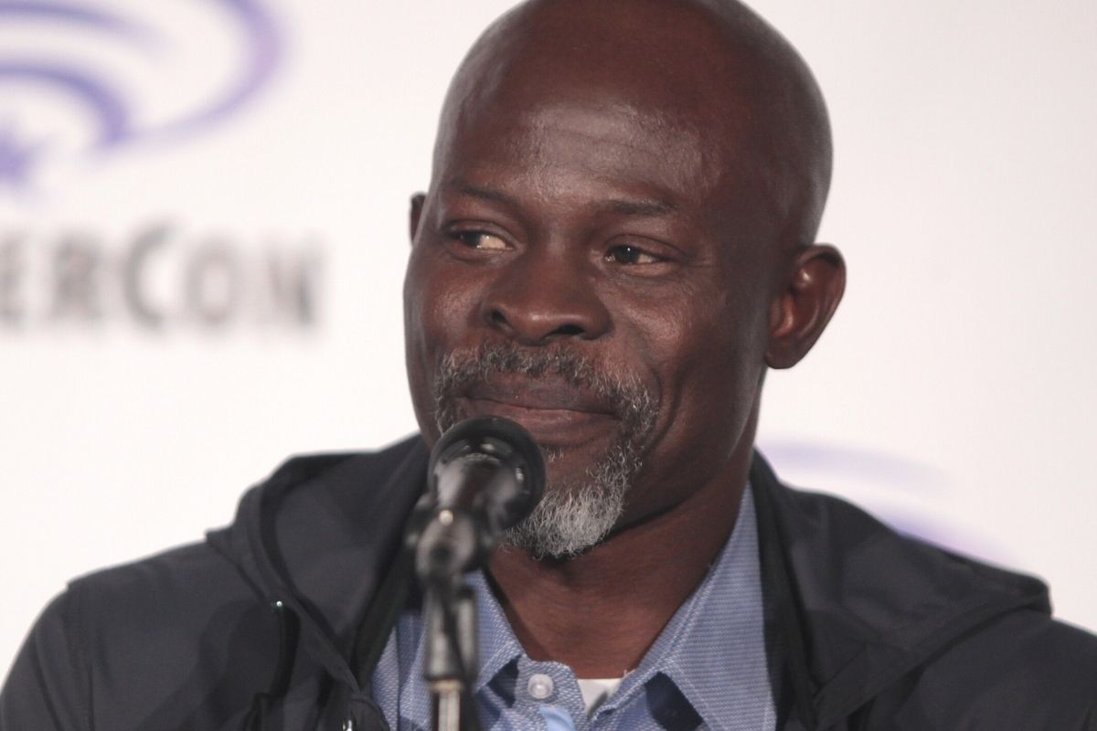 Police Arrest Mother of Djimon Hounsou’s Kids After Home Dispute