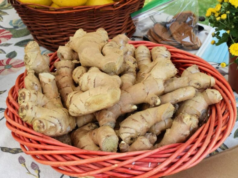 Ginger What to Eat When Sick Unsplash