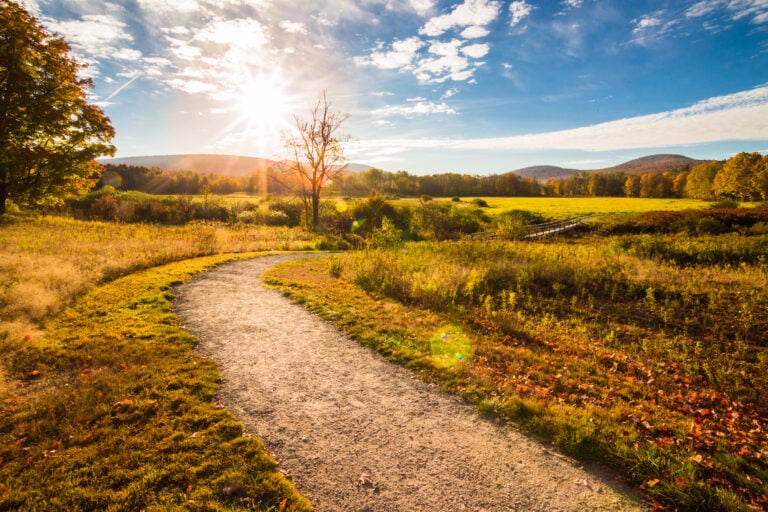 Windham, NY